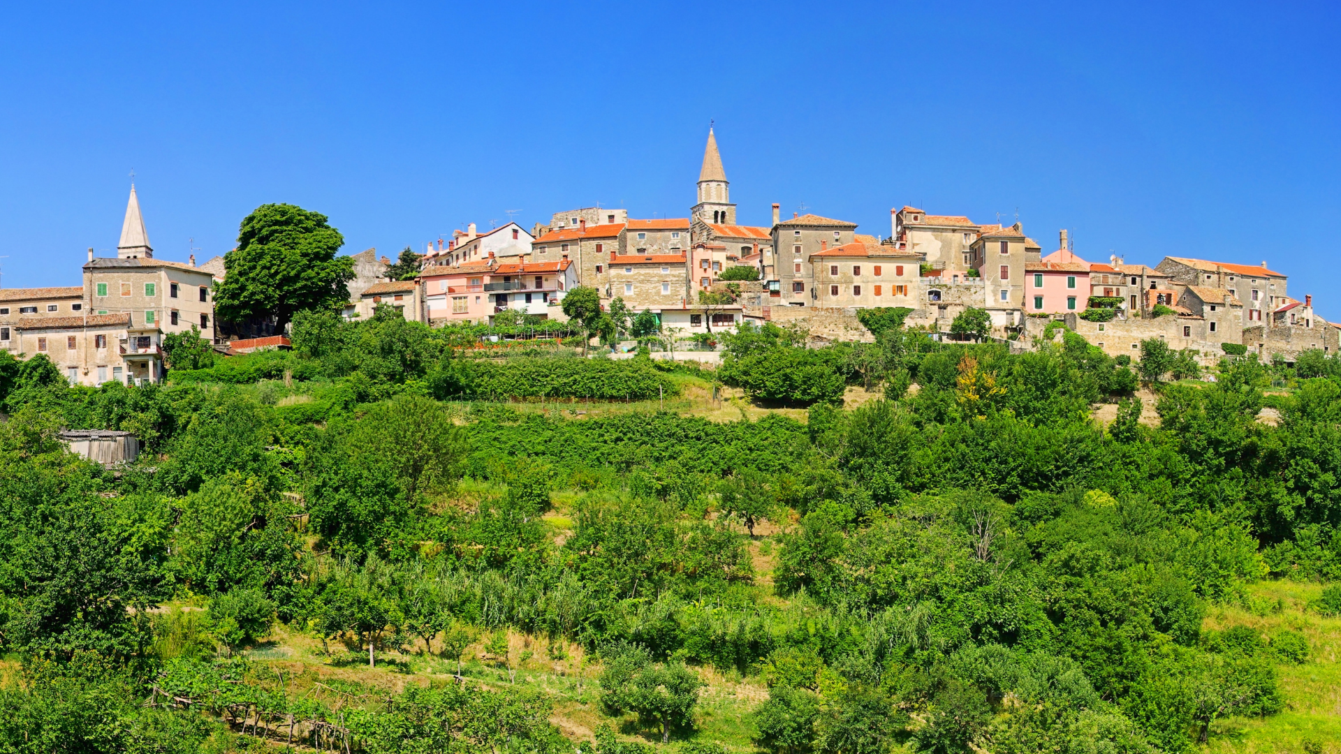Info Istria Buie Buje