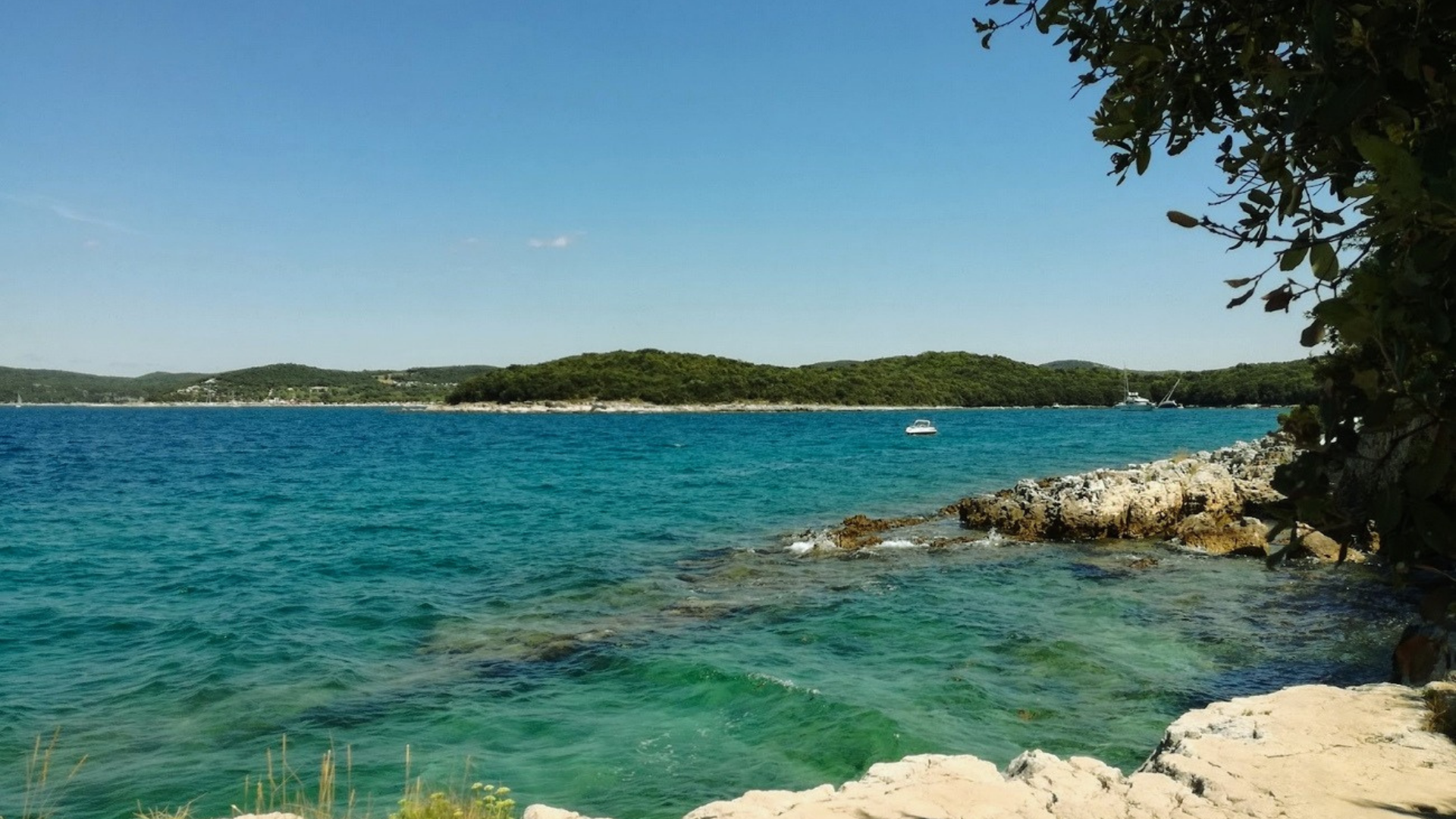 Info Istria Punta Croce Spiaggia Gay Friendly Rovigno